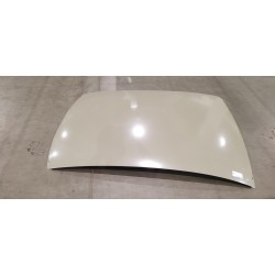 Panneau extérieur de pavillon - sans toit ouvrant - BYD - 16222881-00