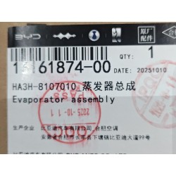 Évaporateur - BYD - 16161874-00