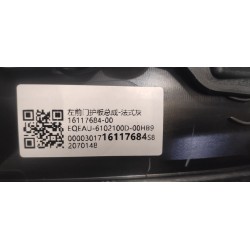 Blindage de porte avant gauche - gris - BYD - 16117684-00