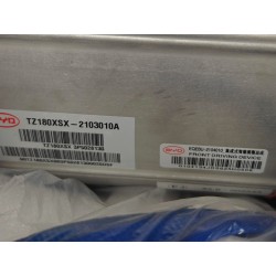 Kit de réparation pour ensemble moteur de traction avant + réducteur - BYD - 16077656-00