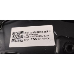 Protection de la portière arrière gauche - Gris - BYD - 16070432-00