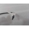Capteur de température de l'évaporateur - BYD - 16043949-00
