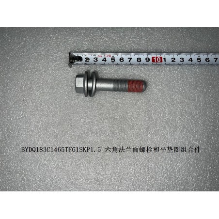 Boulon à embase six pans et rondelle plate - BYD - 12672496-00