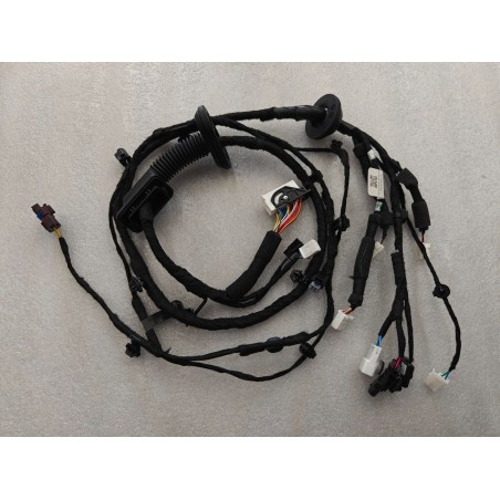 Faisceau de câblage de porte avant gauche - BYD - 16006097-00