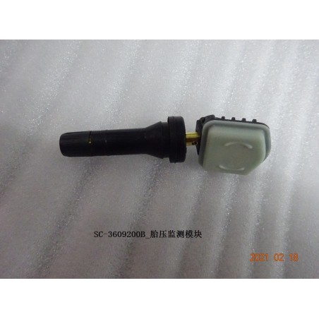Module de surveillance de pression des pneus - BYD - 12657479-00