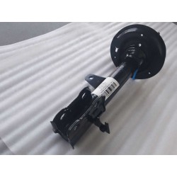 Amortisseur arrière droit - BYD - 15991507-00