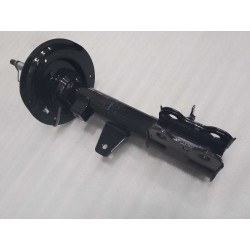 Amortisseur arrière droit - BYD - 15991505-00