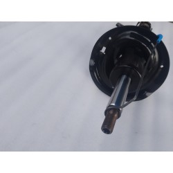 Amortisseur arrière droit - BYD - 15991503-00