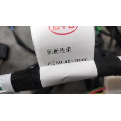 Faisceau de câblage du compartiment avant - BYD - 15987267-00