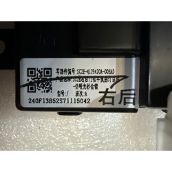 Poignée intérieure de porte arrière droite-Noir foncé 5 - BYD - 15984428-00