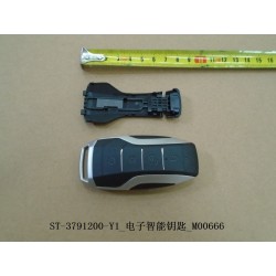 Clé intelligente électronique - BYD - 12624540-00