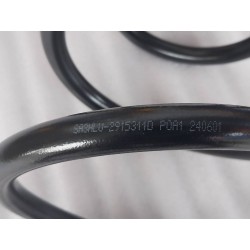 Ressort hélicoïdal de l'amortisseur arrière - BYD - 15940252-00