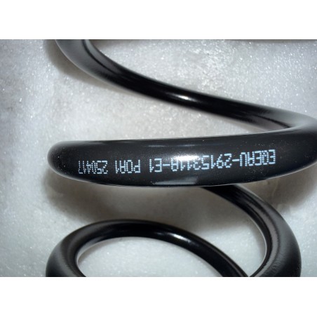 Ressort hélicoïdal d'amortisseur arrière - BYD - 15940243-00