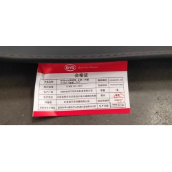 Jeu de tapis de sol - BYD - 12582490-00
