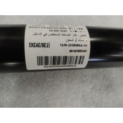 Amortisseur arrière - BYD - 15882204-00