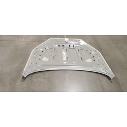 Capot - BYD - 15844027-00