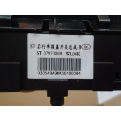 Interrupteur de cache-bagages arrière - BYD - 12562245-00