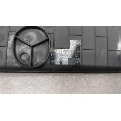 Vide-poche de porte arrière gauche - noir foncé 5 - BYD - 15842930-00