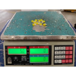 Fusible 32V 20A - BYD - 12533078-00
