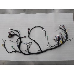 Faisceau de câblage du tableau de bord I - BYD - 15764008-00