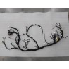 Faisceau de câblage du tableau de bord I - BYD - 15764008-00