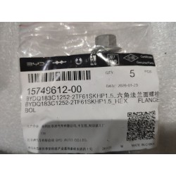 Boulon à embase hexagonale et rondelle plate - BYD - 15749612-00