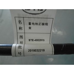 Faisceau positif de batterie - BYD - 12486064-00