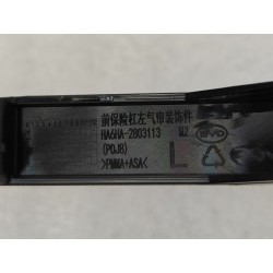 Enjoliveur de prise d'air avant gauche (pare-chocs) - BYD - 15703875-00