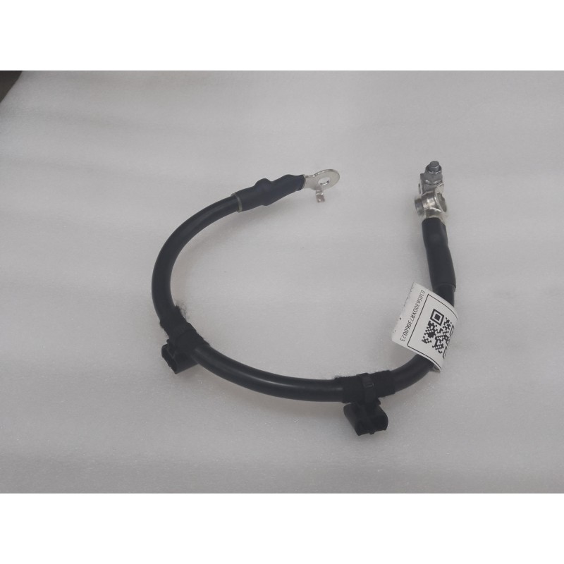 Faisceau de câblage de borne positive de batterie - BYD - 15636221-00