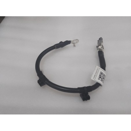 Faisceau de câblage de borne positive de batterie - BYD - 15636221-00