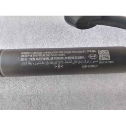 Corps de ressort électrique droit de la porte arrière - BYD - 15632532-00