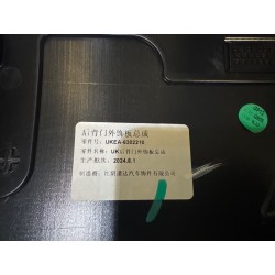 Garniture extérieure de porte arrière - BYD - 15629909-00
