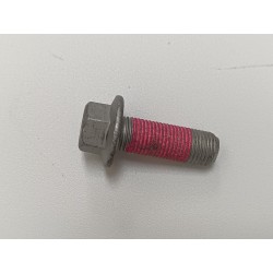 Boulon hexagonal à embase - BYD - 15619910-00