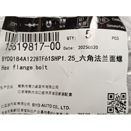 Boulon hexagonal à embase - BYD - 15619817-00