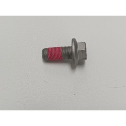 Boulon hexagonal à embase - BYD - 15619817-00