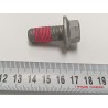 Boulon hexagonal à embase - BYD - 15619817-00