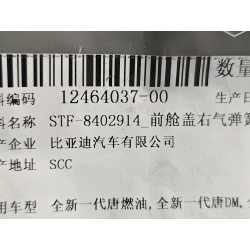 Support de vérin à gaz droit de capot avant - BYD - 12464037-00