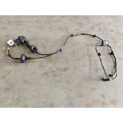 Faisceau de câblage de porte arrière droite - BYD - 15536920-00