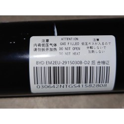 Amortisseur arrière - BYD - 15513244-00