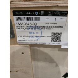 Kit de réparation moteur de traction arrière + ensemble réducteur - BYD - 15510675-00