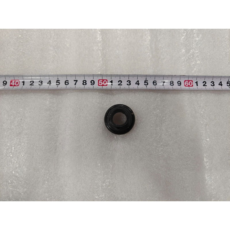 Écrou antivol avec douille - BYD - 15496468-00