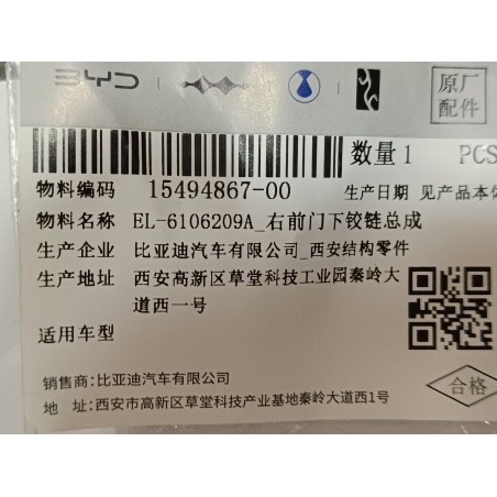 Charnière inférieure de porte avant droite - BYD - 15494867-00