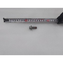 Boulon hexagonal à embase - BYD - 15476204-00