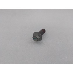 Boulon hexagonal à embase - BYD - 15476204-00