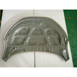 Capot avant - BYD - 12453237-00