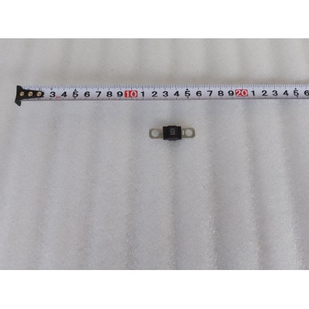 Fuse - LZ-100 A-M6 - 32V - 100 A - BYD - 15439609-00