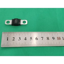 Fuse - LZ-80A-M6 - 32V - 80 A - BYD - 15439572-00