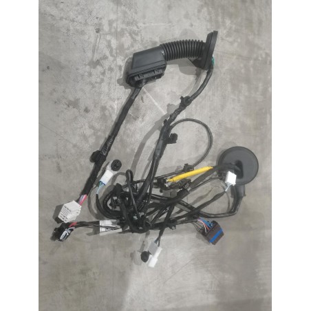 Faisceau de câblage de porte avant droite - BYD - 15314759-00