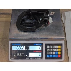 Faisceau de câblage de couvercle de coffre I - BYD - 15314758-00