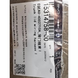 Faisceau de câblage de couvercle de coffre I - BYD - 15314758-00